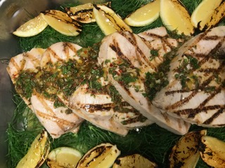 IMG_7955.jpeg